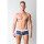 Timoteo A-Frame Speedster - Grey/Blue