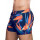 2Eros Print Swimwear Swim Shorts Paradise