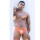 2Eros Adonis Brief Underwear Tan