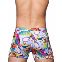 2Eros Print Bondi Bar Beach Swim Trunks Aves Purple...