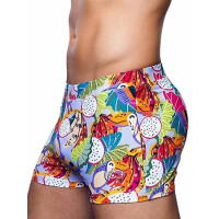 2Eros Print Bondi Bar Beach Swim Trunks Aves Purple (Series 2)