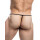 C4M G-String Underwear Dollar