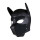 Rude Rider Neoprene Puppy Hood Black