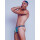 Supawear POW Thong Underwear Arctic Animal