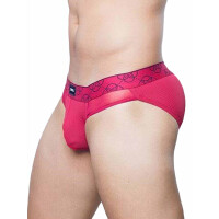 2Eros Himeros Brief Underwear Raspberry