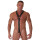 Neoprene Y Harness